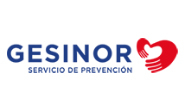 GESINOR